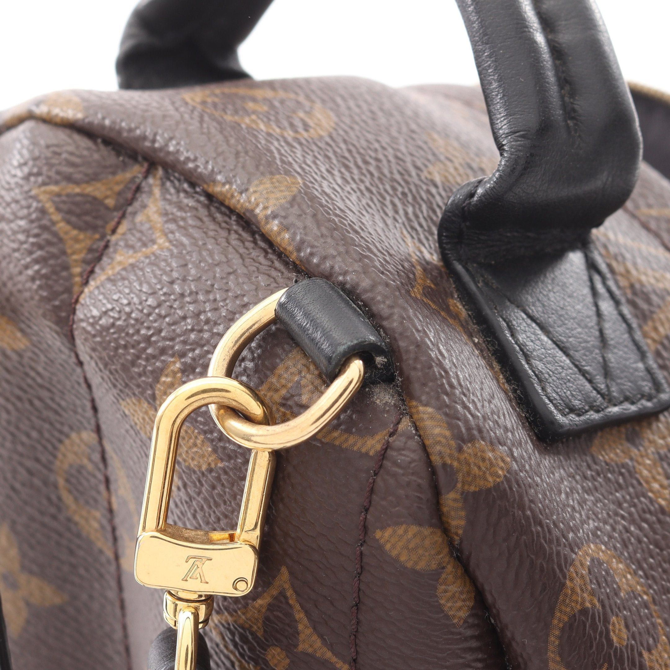 Louis Vuitton Louis Vuitton Palm Springs Backpack Mini Monogram Rucksack Leather Brown Black Size ONE SIZE - 9 Thumbnail