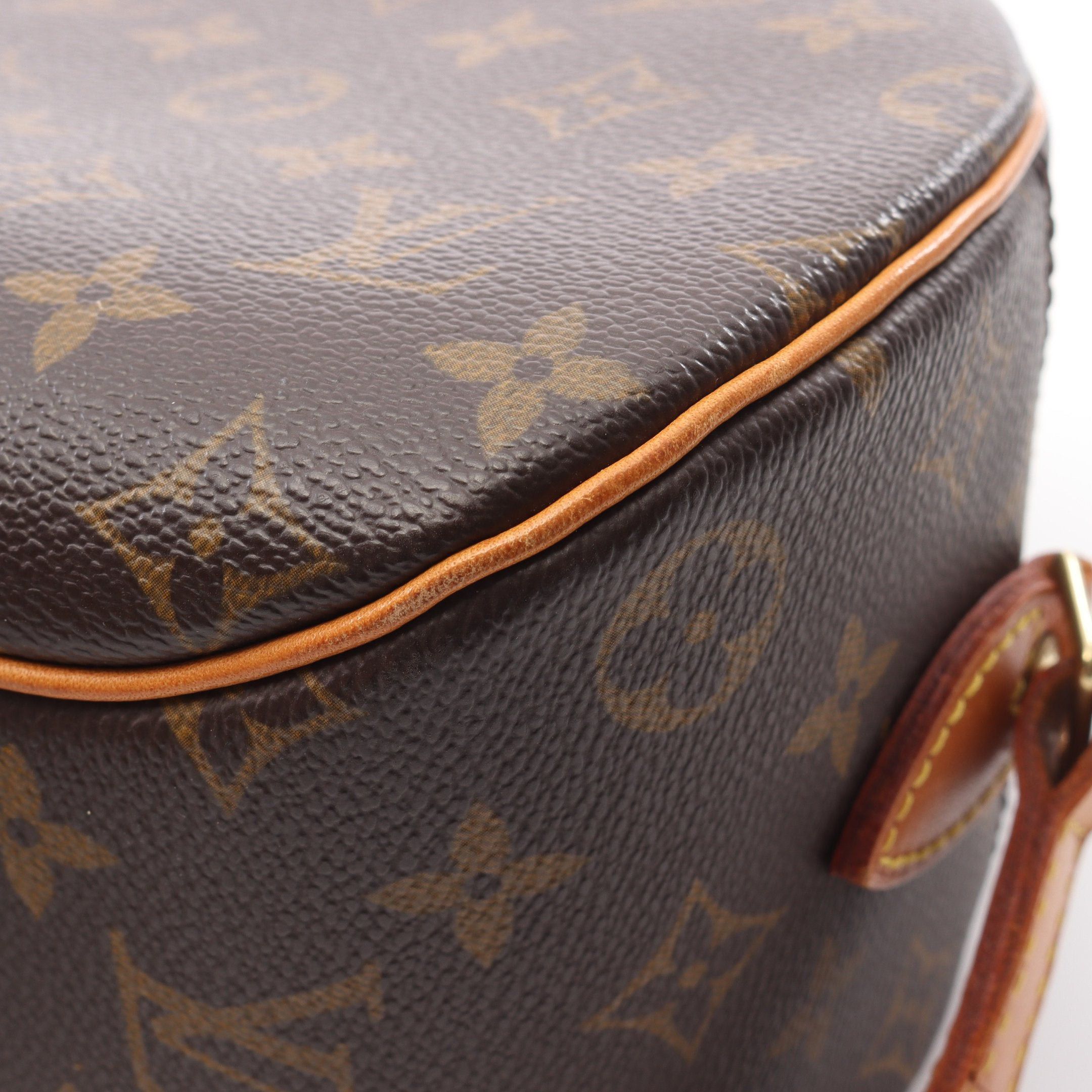 Louis Vuitton Louis Vuitton Blower Monogram Shoulder Bag Leather Brown Size ONE SIZE - 7 Thumbnail