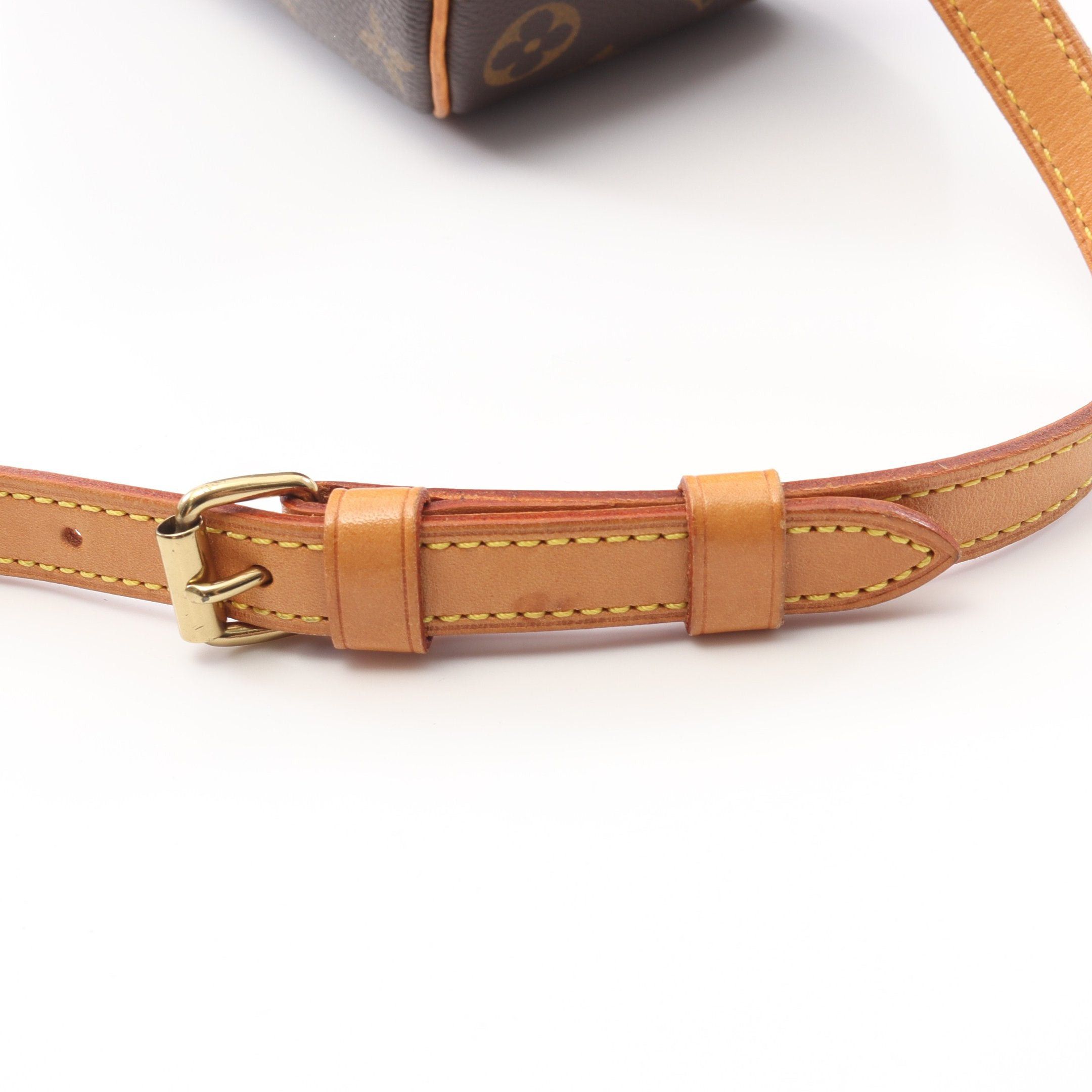 Louis Vuitton Louis Vuitton Blower Monogram Shoulder Bag Leather Brown Size ONE SIZE - 9 Thumbnail