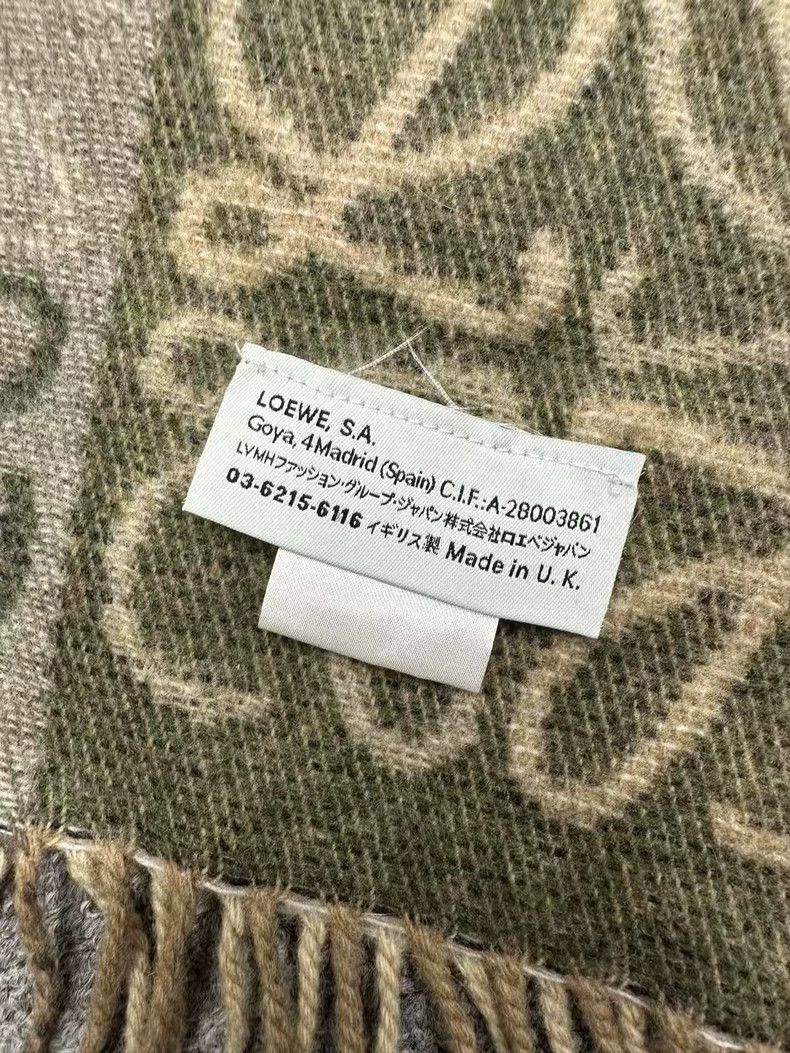 Loewe Printed Wool Scarf in Green Tones