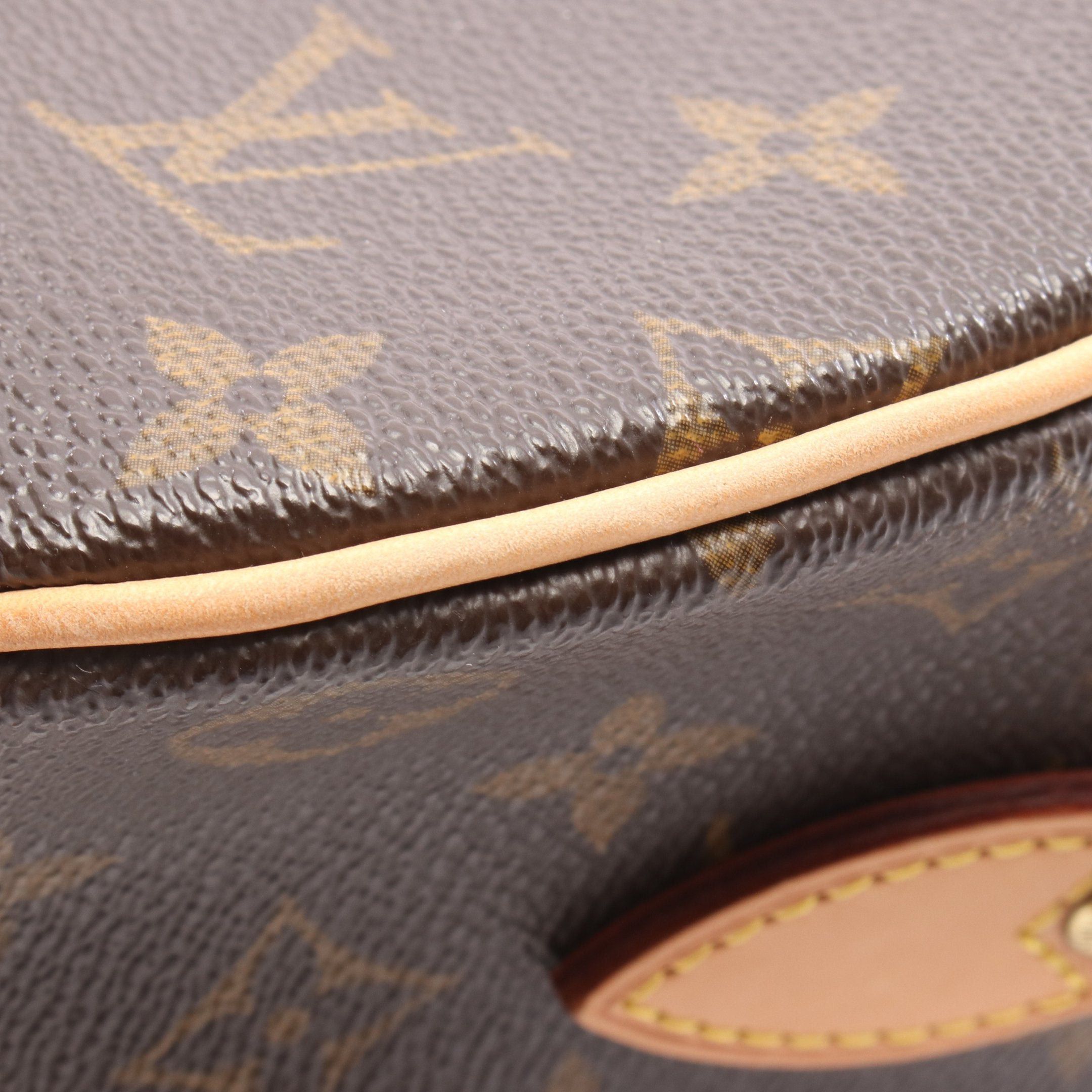 Louis Vuitton Louis Vuitton Blower Monogram Shoulder Bag Leather Brown Size ONE SIZE - 8 Thumbnail