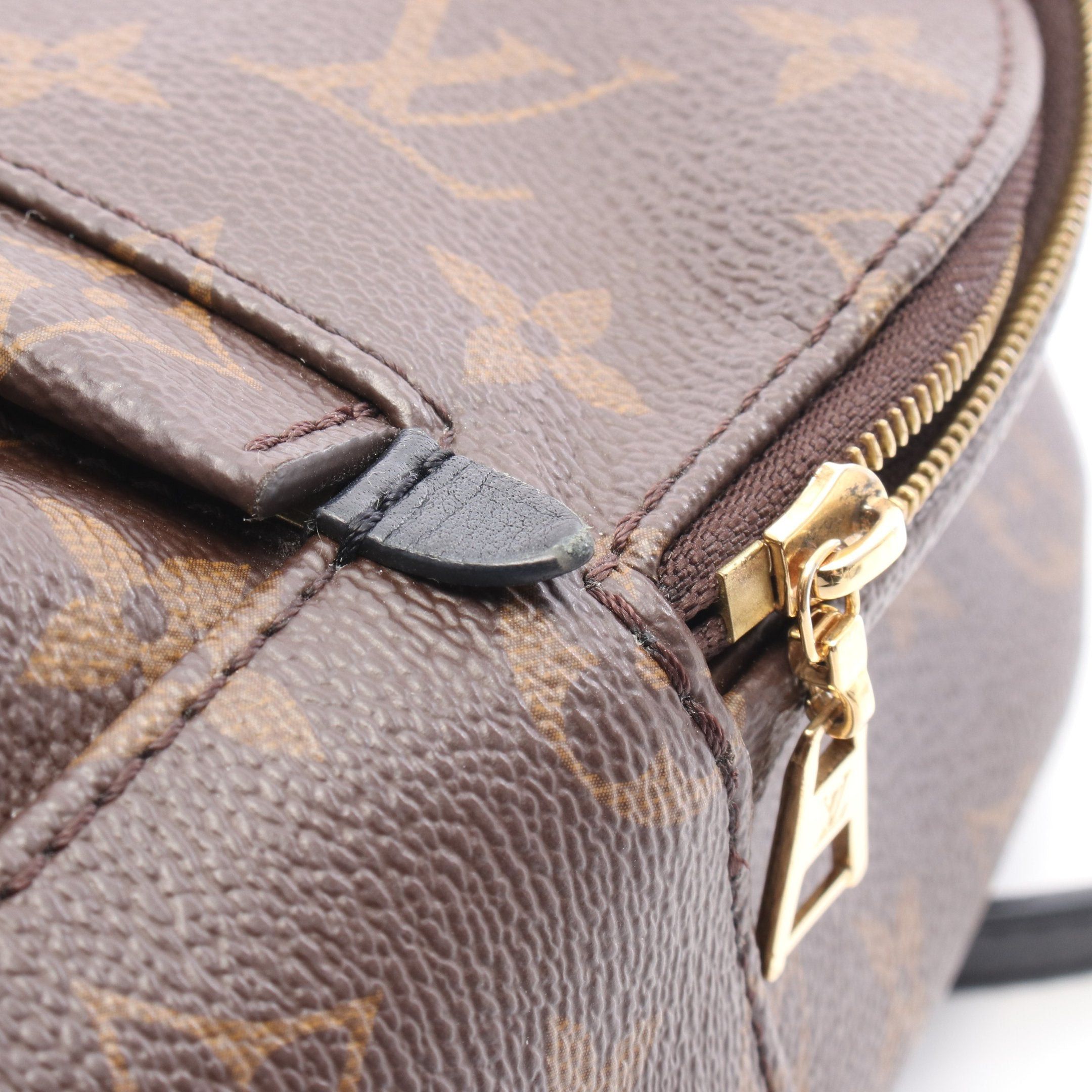 Louis Vuitton Louis Vuitton Palm Springs Backpack Mini Monogram Rucksack Leather Brown Black Size ONE SIZE - 8 Thumbnail