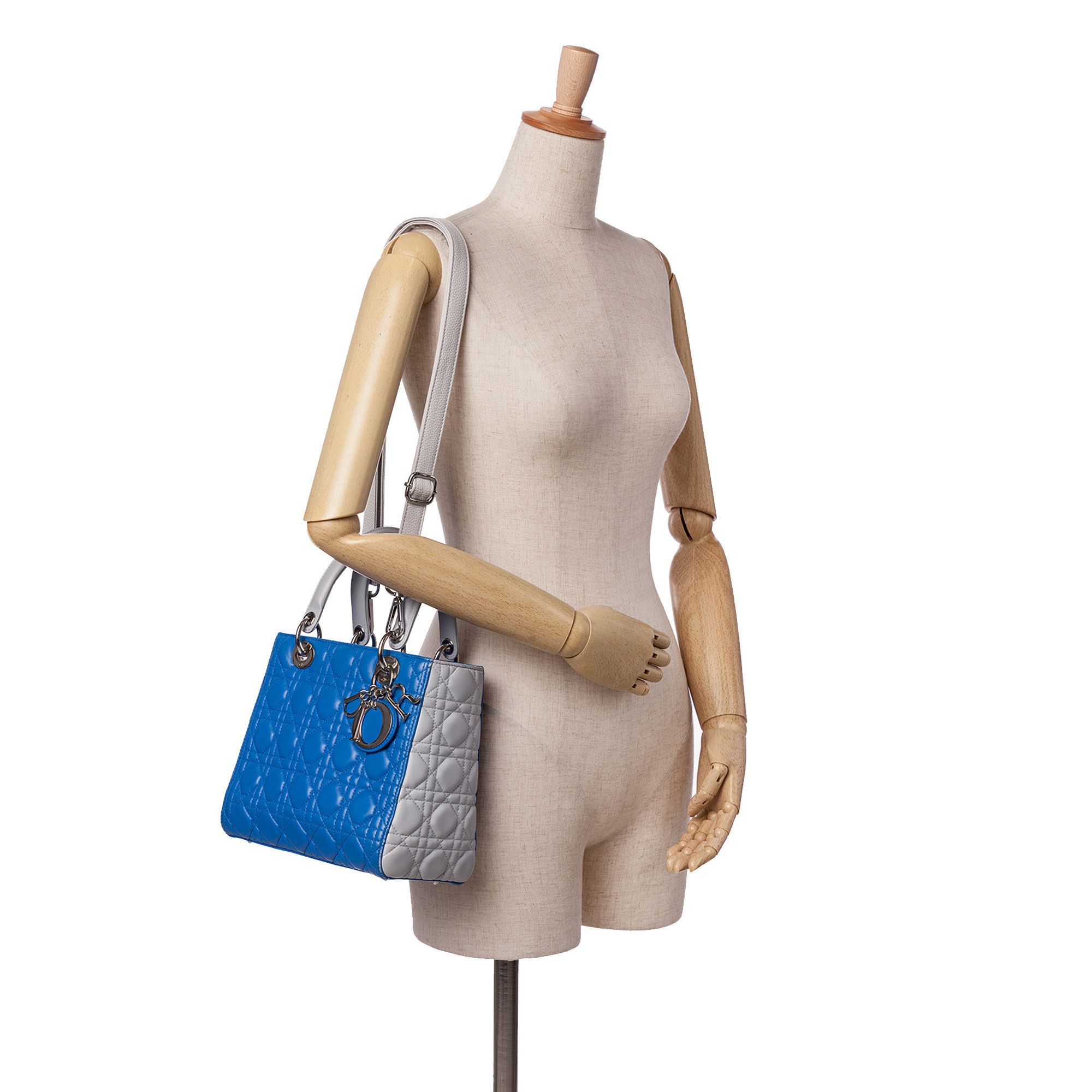 Dior Dior Medium Bicolor Lambskin Cannage Lady Dior Size ONE SIZE - 11 Thumbnail