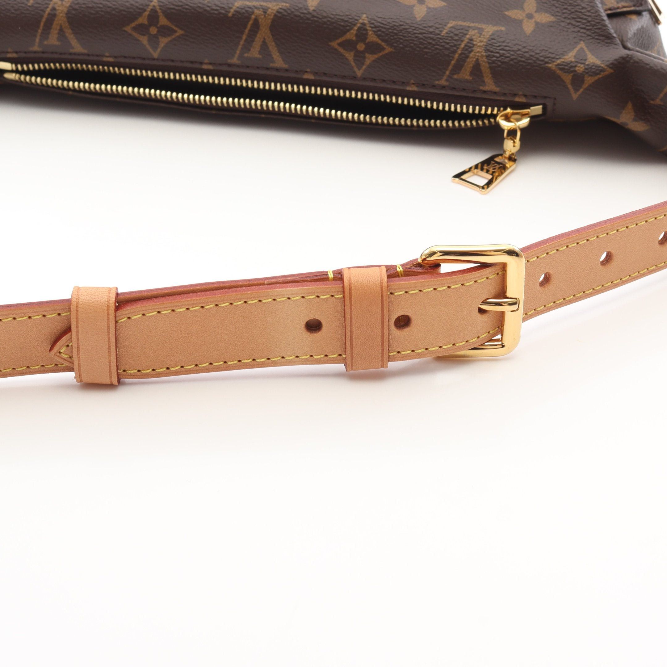 Louis Vuitton Louis Vuitton Bum Bag Monogram Body Waist Leather Brown Size ONE SIZE - 8 Thumbnail