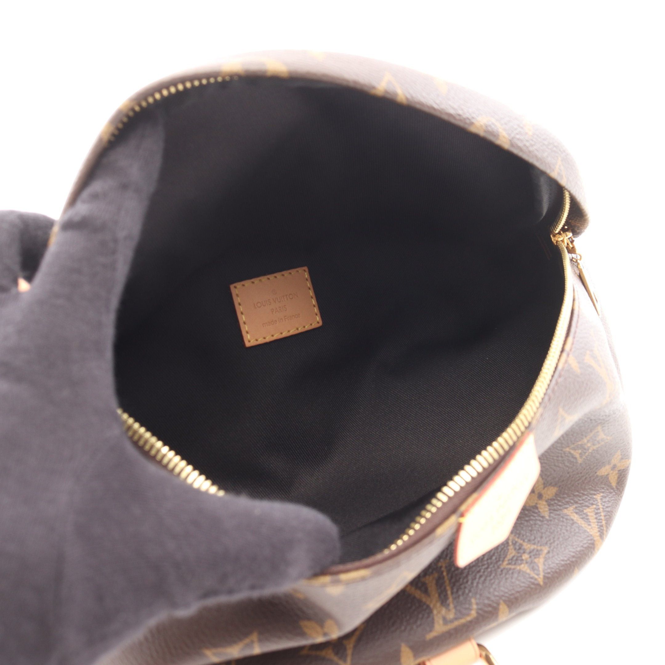 Louis Vuitton Louis Vuitton Bum Bag Monogram Body Waist Leather Brown Size ONE SIZE - 3 Thumbnail