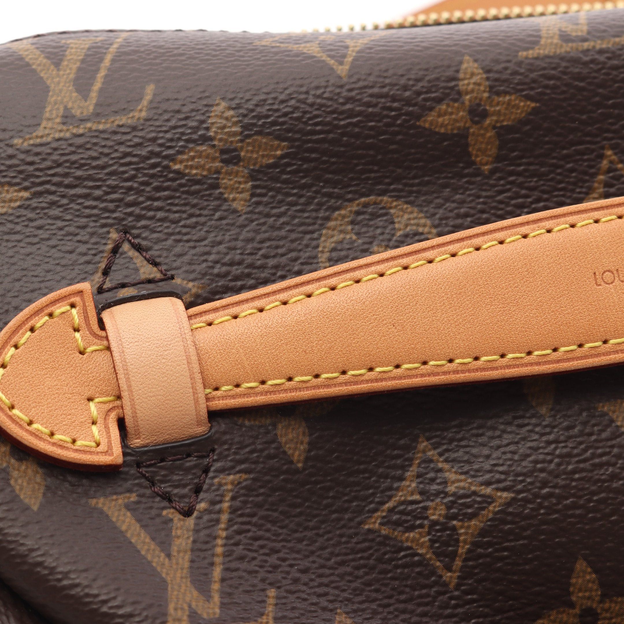 Louis Vuitton Louis Vuitton Bum Bag Monogram Body Waist Leather Brown Size ONE SIZE - 7 Thumbnail