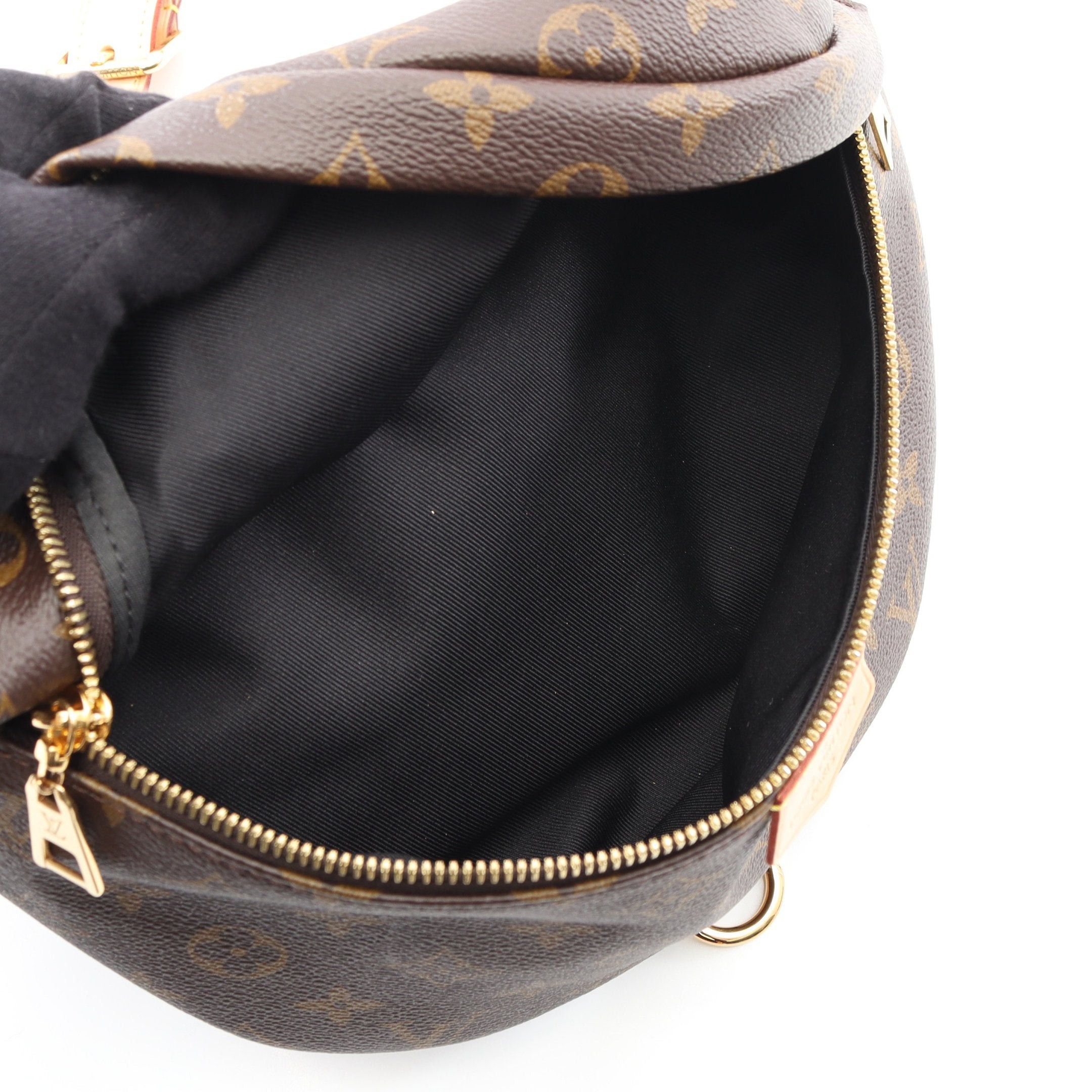 Louis Vuitton Louis Vuitton Bum Bag Monogram Body Waist Leather Brown Size ONE SIZE - 3 Thumbnail
