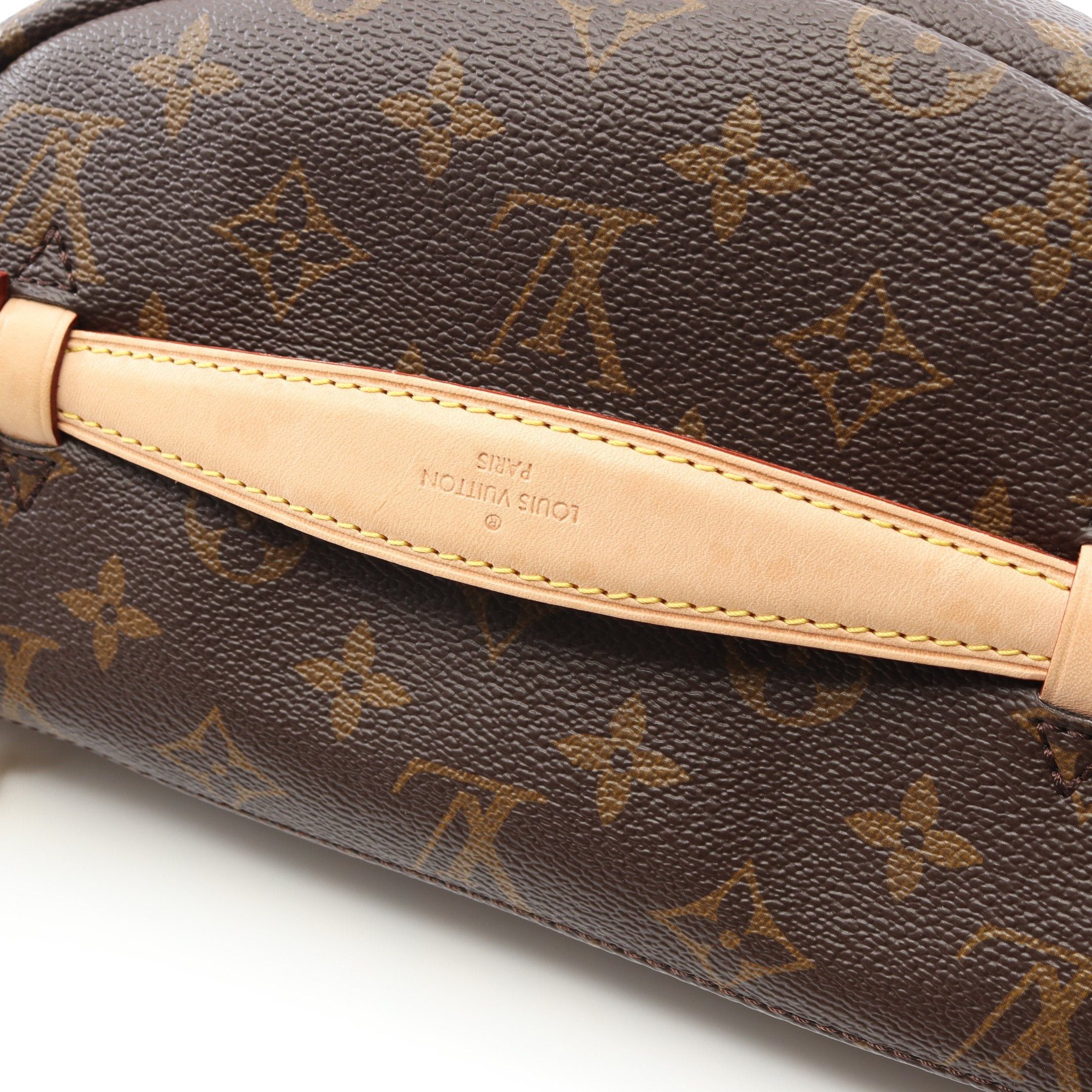 Louis Vuitton Louis Vuitton Bum Bag Monogram Body Waist Leather Brown Size ONE SIZE - 5 Thumbnail