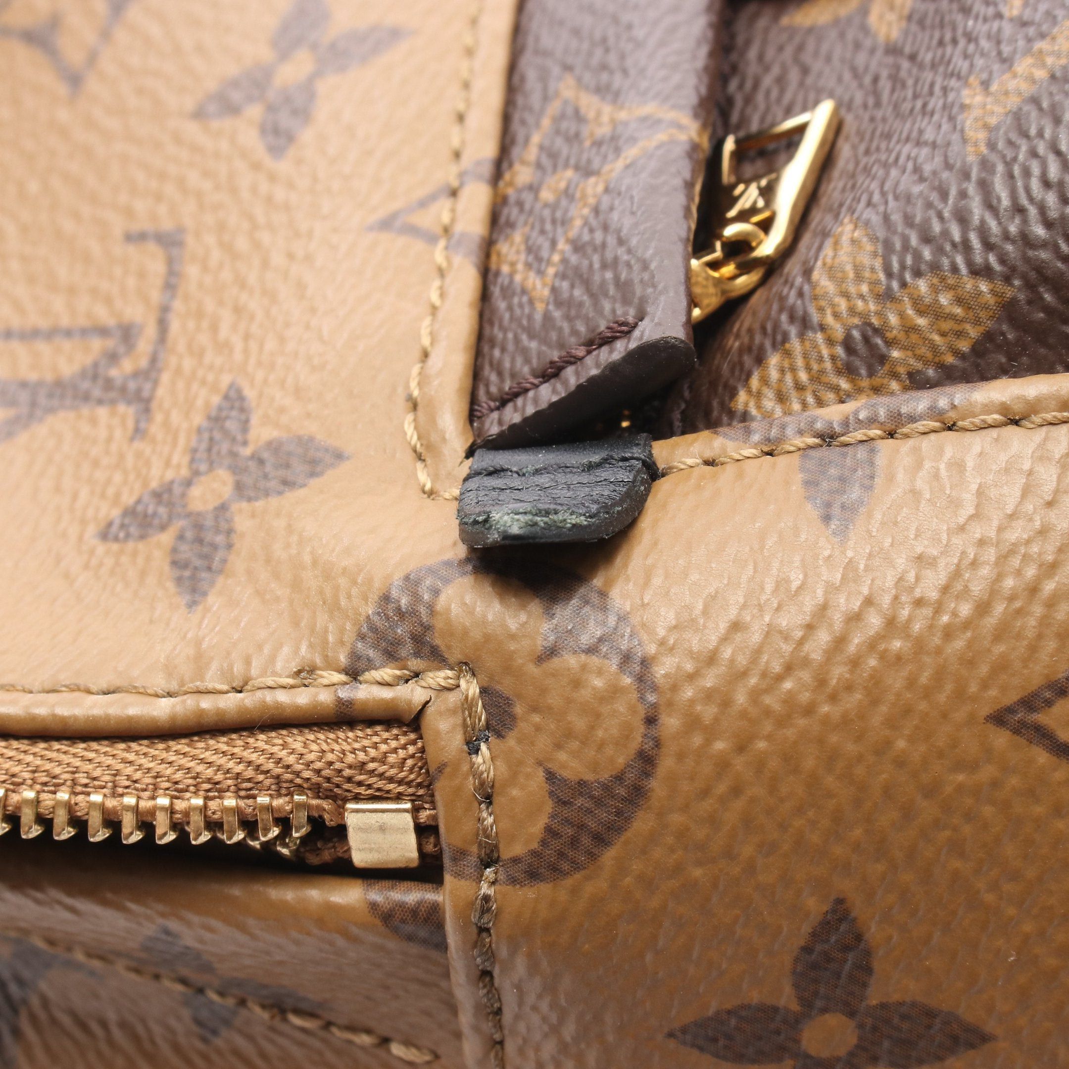 Louis Vuitton Louis Vuitton Palm Springs Backpack Mini Monogram Reverse Rucksack Leather Light Brown Dark Size ONE SIZE - 8 Thumbnail