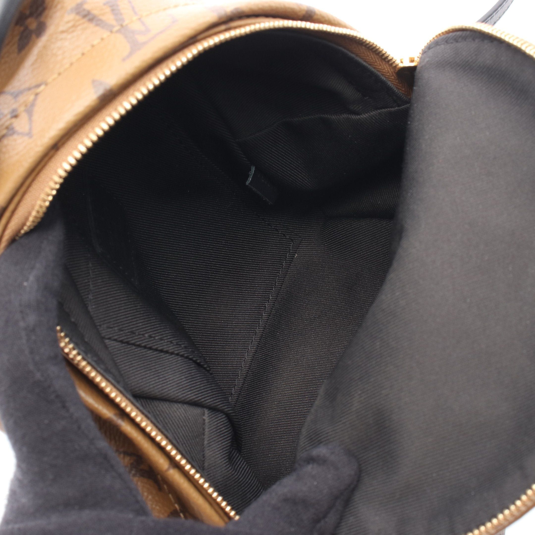 Louis Vuitton Louis Vuitton Palm Springs Backpack Mini Monogram Reverse Rucksack Leather Light Brown Dark Size ONE SIZE - 3 Thumbnail