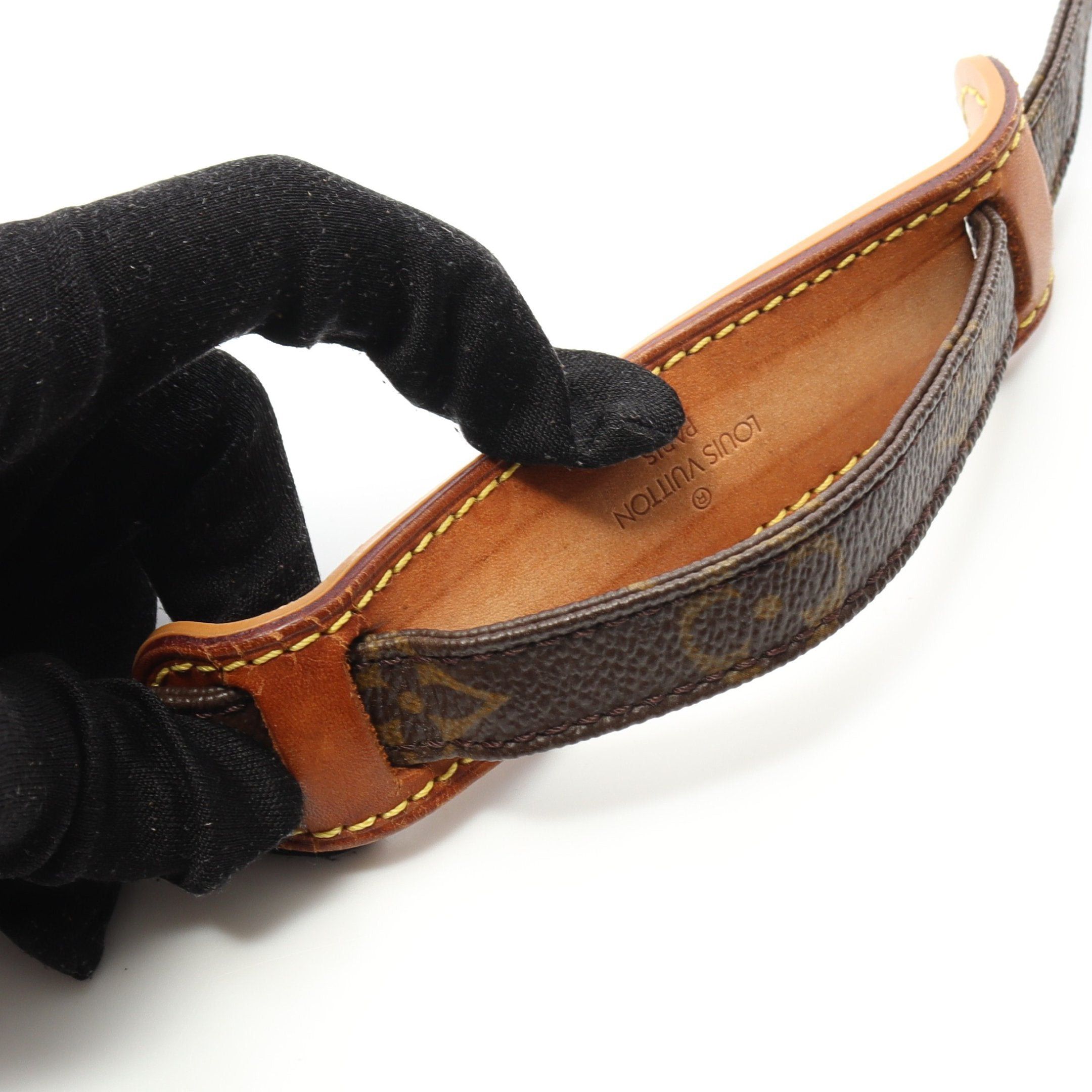 Louis Vuitton Louis Vuitton Amazon Monogram Shoulder Bag Leather Brown Size ONE SIZE - 9 Thumbnail