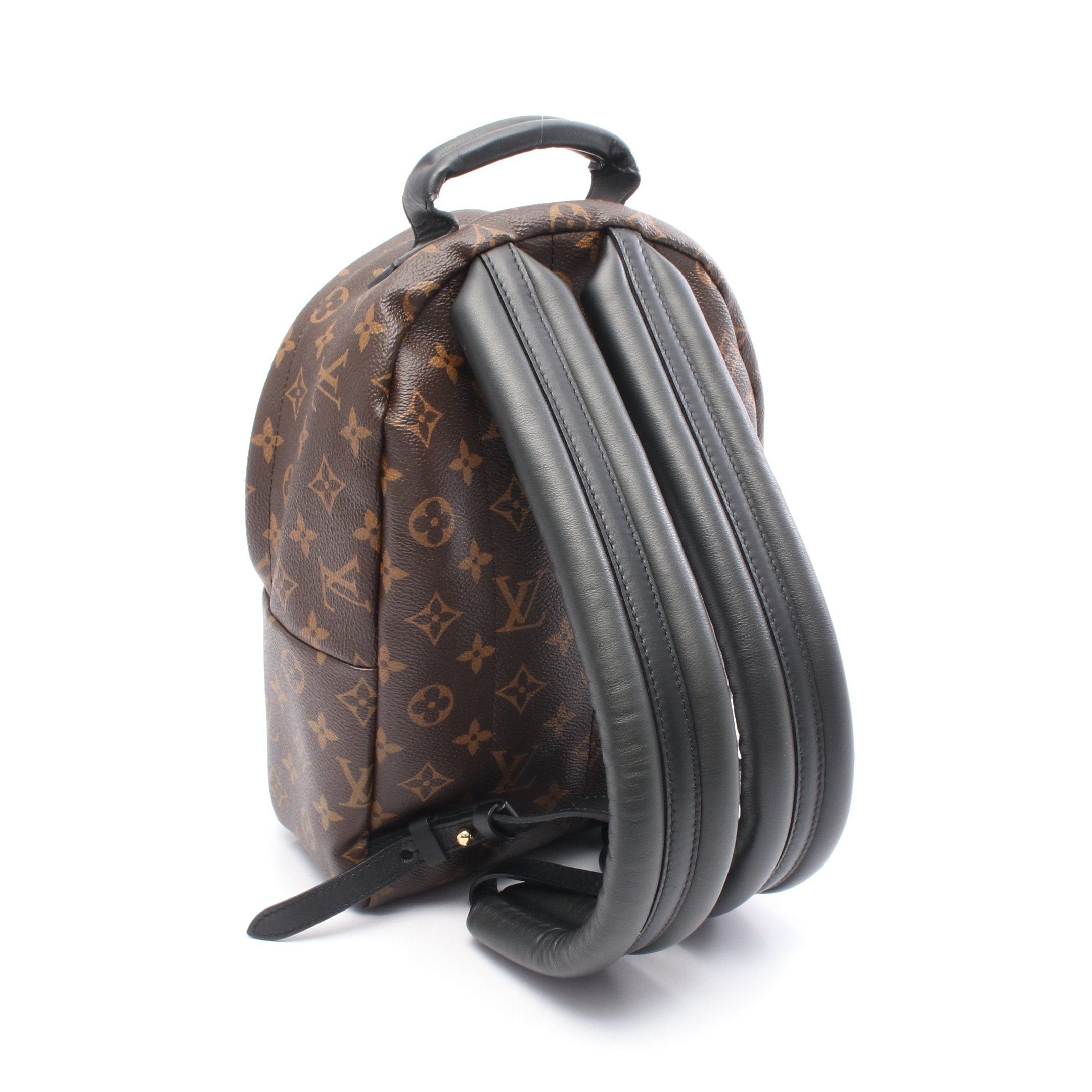Louis Vuitton Louis Vuitton Palm Springs Pm Monogram Backpack Rucksack Leather Brown Black Size ONE SIZE - 2 Thumbnail