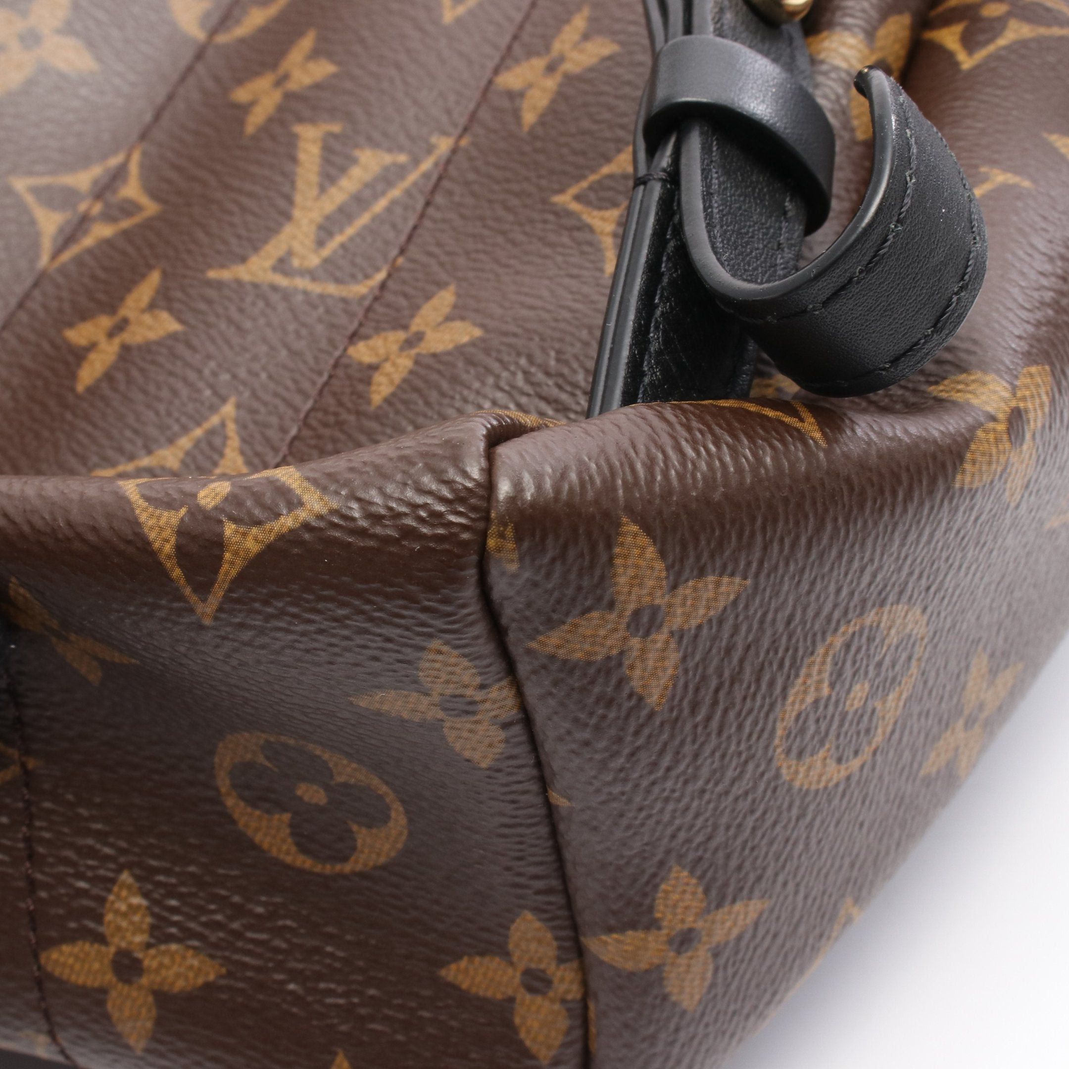 Louis Vuitton Louis Vuitton Palm Springs Backpack Pm Monogram Rucksack Leather Brown Black Size ONE SIZE - 9 Thumbnail