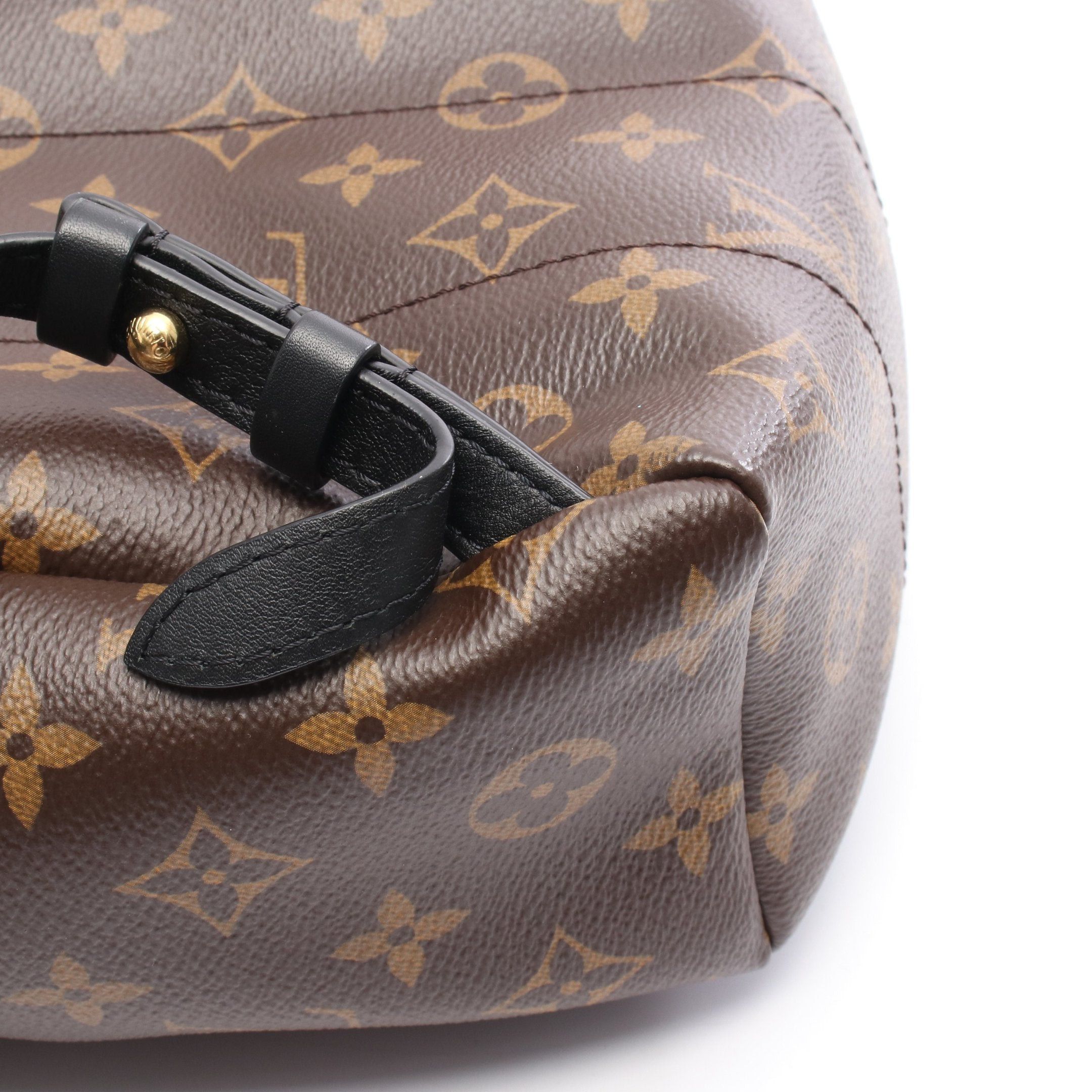 Louis Vuitton Louis Vuitton Palm Springs Backpack Pm Monogram Rucksack Leather Brown Black Size ONE SIZE - 8 Thumbnail