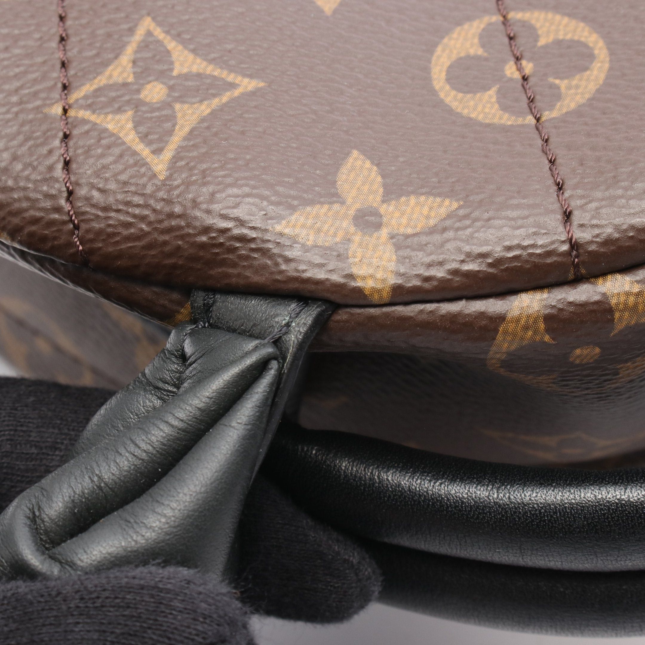 Louis Vuitton Louis Vuitton Palm Springs Backpack Pm Monogram Rucksack Leather Brown Black Size ONE SIZE - 7 Thumbnail