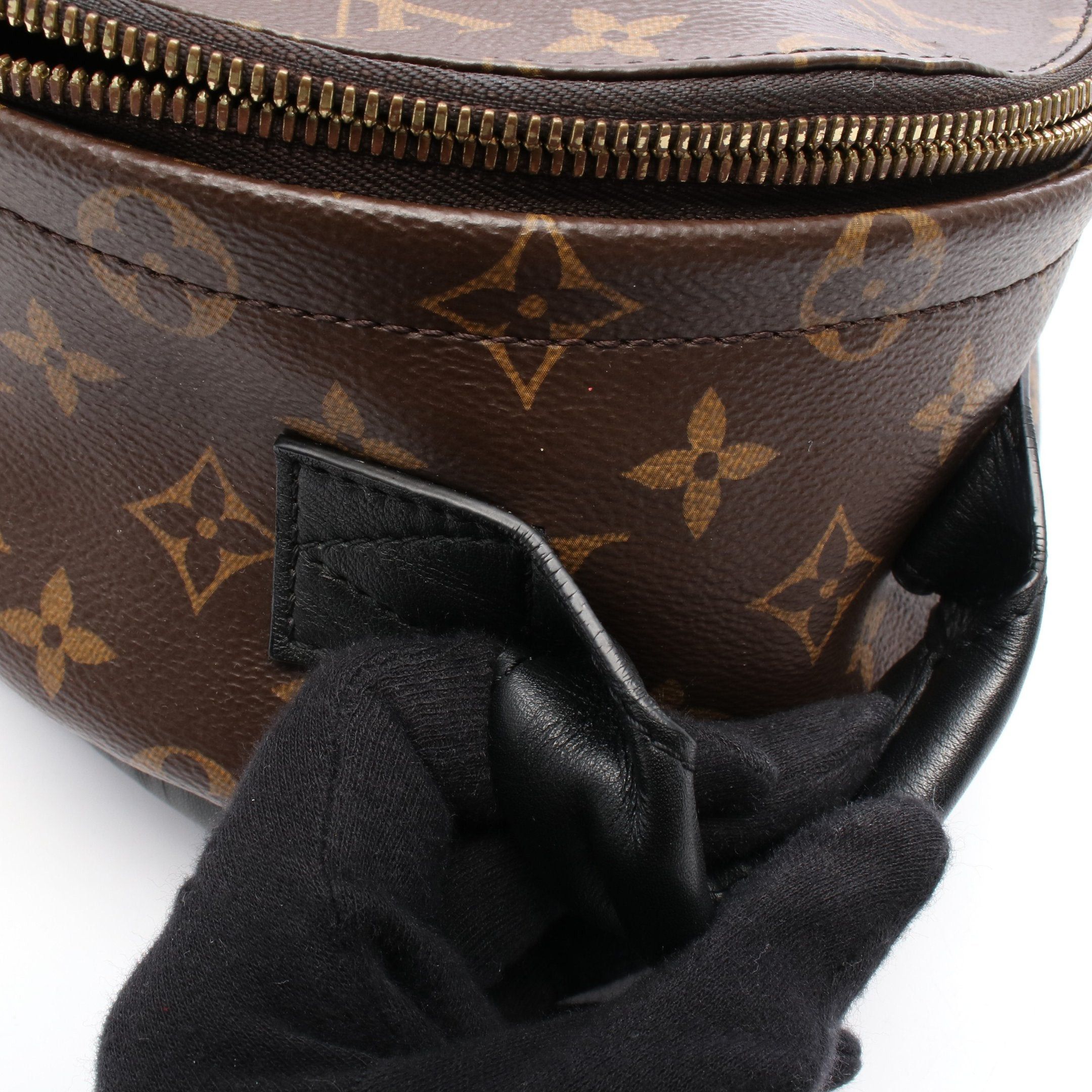 Louis Vuitton Louis Vuitton Palm Springs Backpack Pm Monogram Rucksack Leather Brown Black Size ONE SIZE - 6 Thumbnail