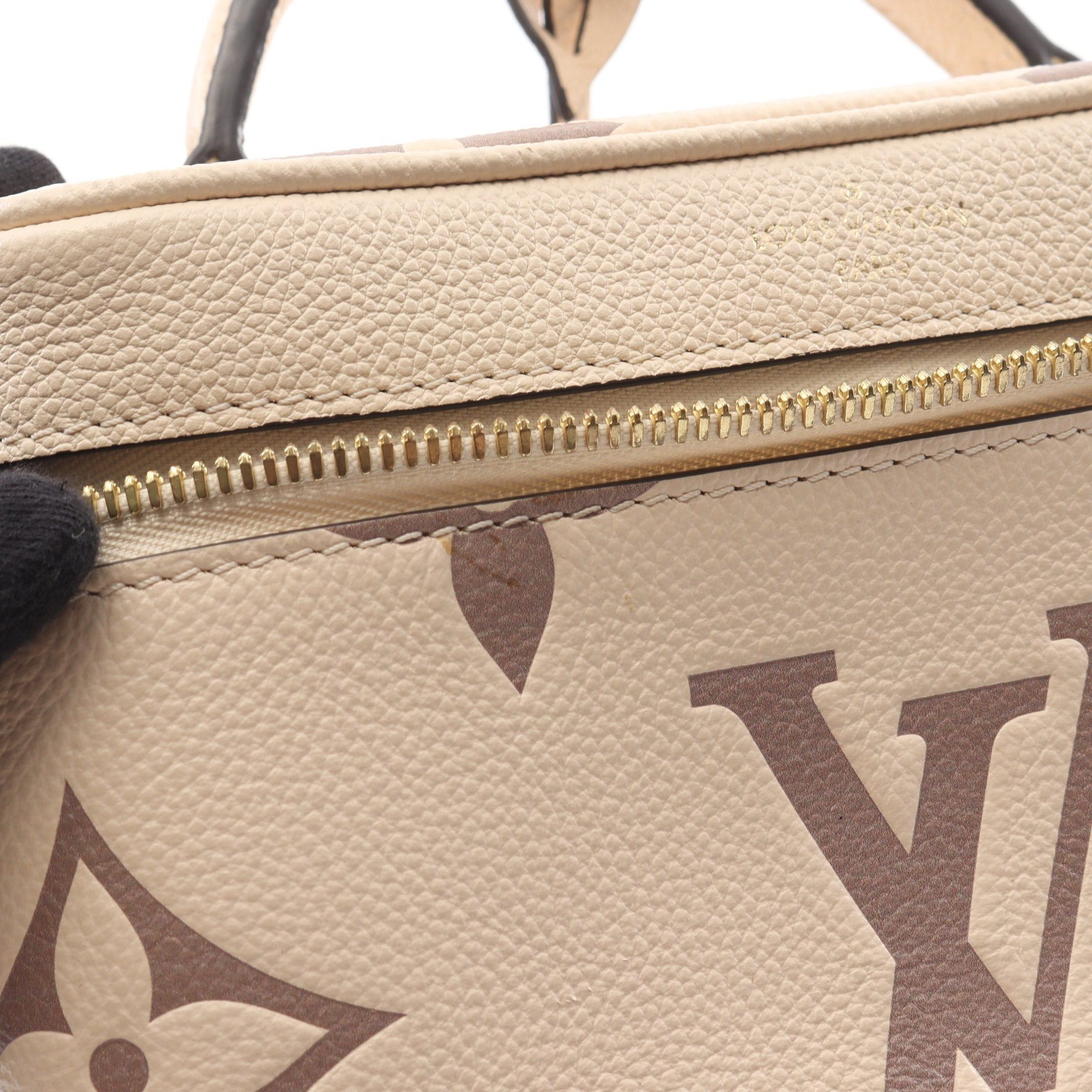 Louis Vuitton Louis Vuitton Vanity Pm Monogram Empreinte Claim Bois De Rose Handbag Bag Leather Beige Gray Brown Size ONE SIZE - 8 Thumbnail