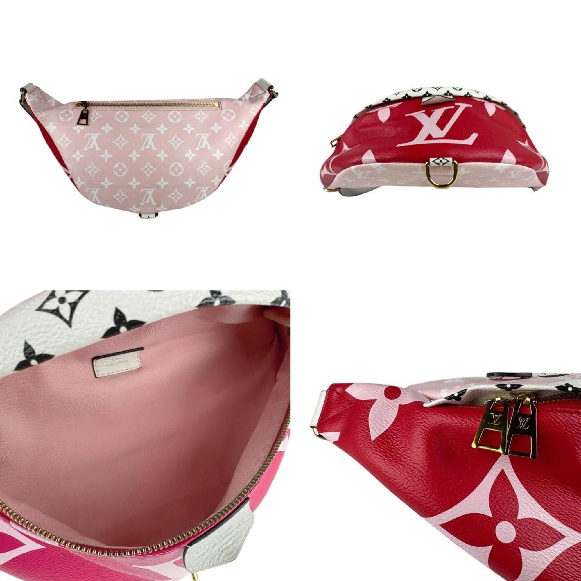 Louis Vuitton Louis Vuitton Bum Bag / Sac Ceinture shoulder Size ONE SIZE - 4 Thumbnail