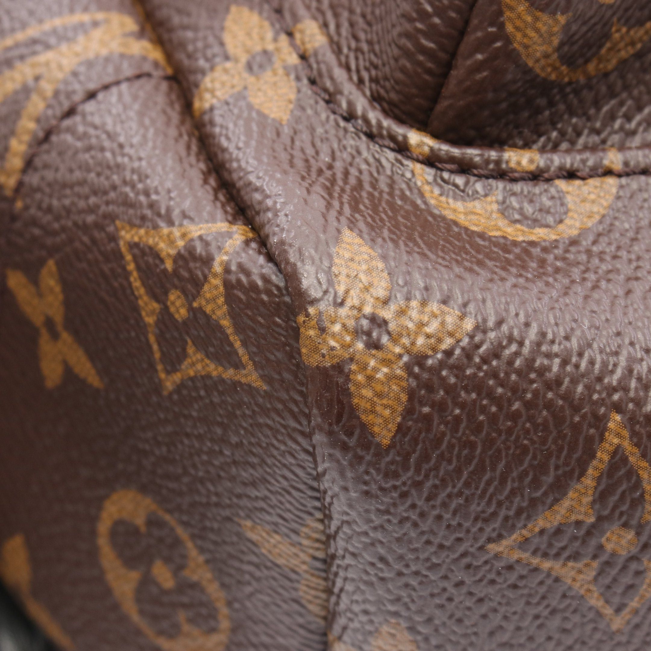 Louis Vuitton Louis Vuitton Palm Springs Pm Monogram Backpack Rucksack Leather Brown Black Size ONE SIZE - 8 Thumbnail