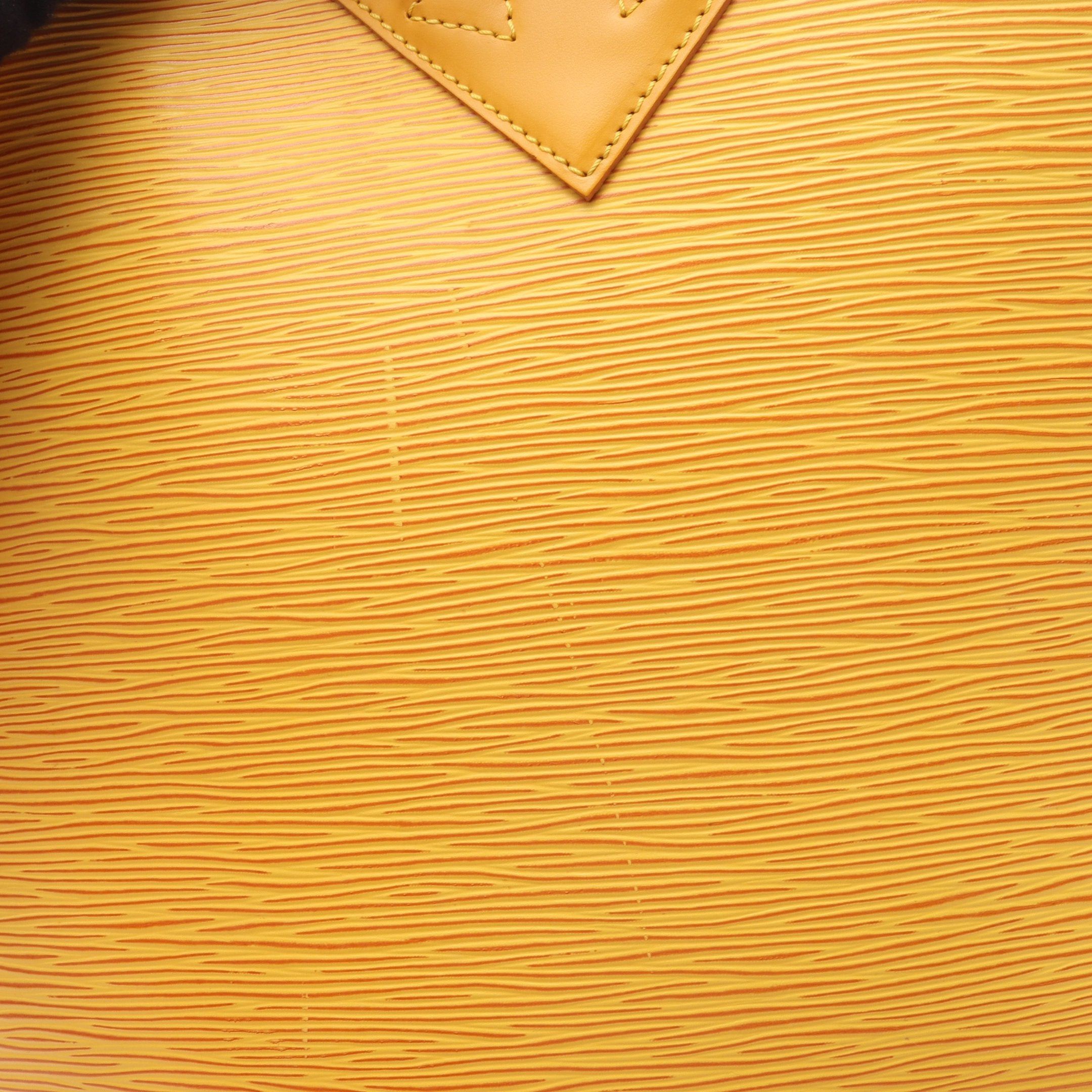Louis Vuitton Louis Vuitton Gobelins Epi Tassi Yellow Backpack Rucksack Leather Size ONE SIZE - 11 Thumbnail