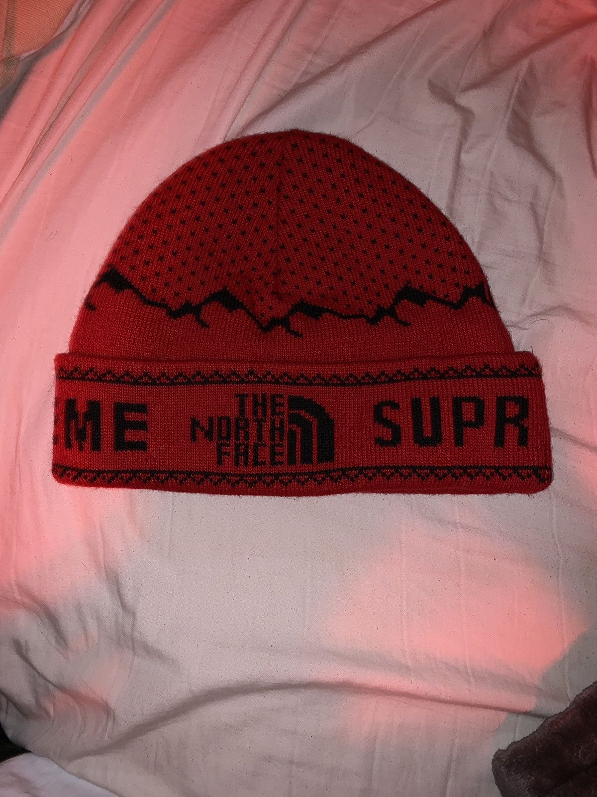 Supreme North Face Beanie | Grailed