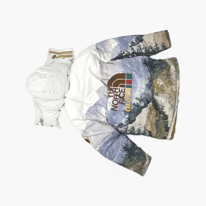 Gucci Gucci x The North Face Mountain Print Down Jacket Size US L / EU 52-54 / 3 - 3 Thumbnail