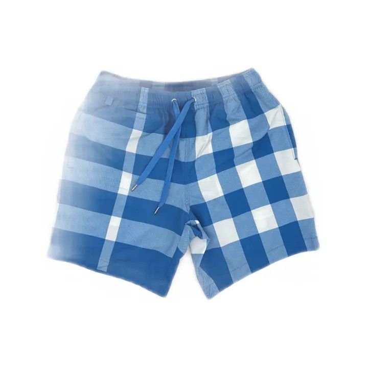 Burberry Burberry SS23 Blue Check Drawstring Casual Shorts Size US 26 / EU 42 - 2 Thumbnail