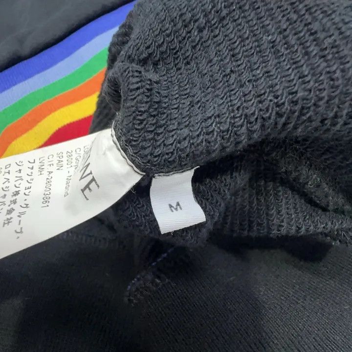 Loewe Loewe Rainbow Logo Zip-Up Hoodie Size US M / EU 48-50 / 2 - 6 Thumbnail