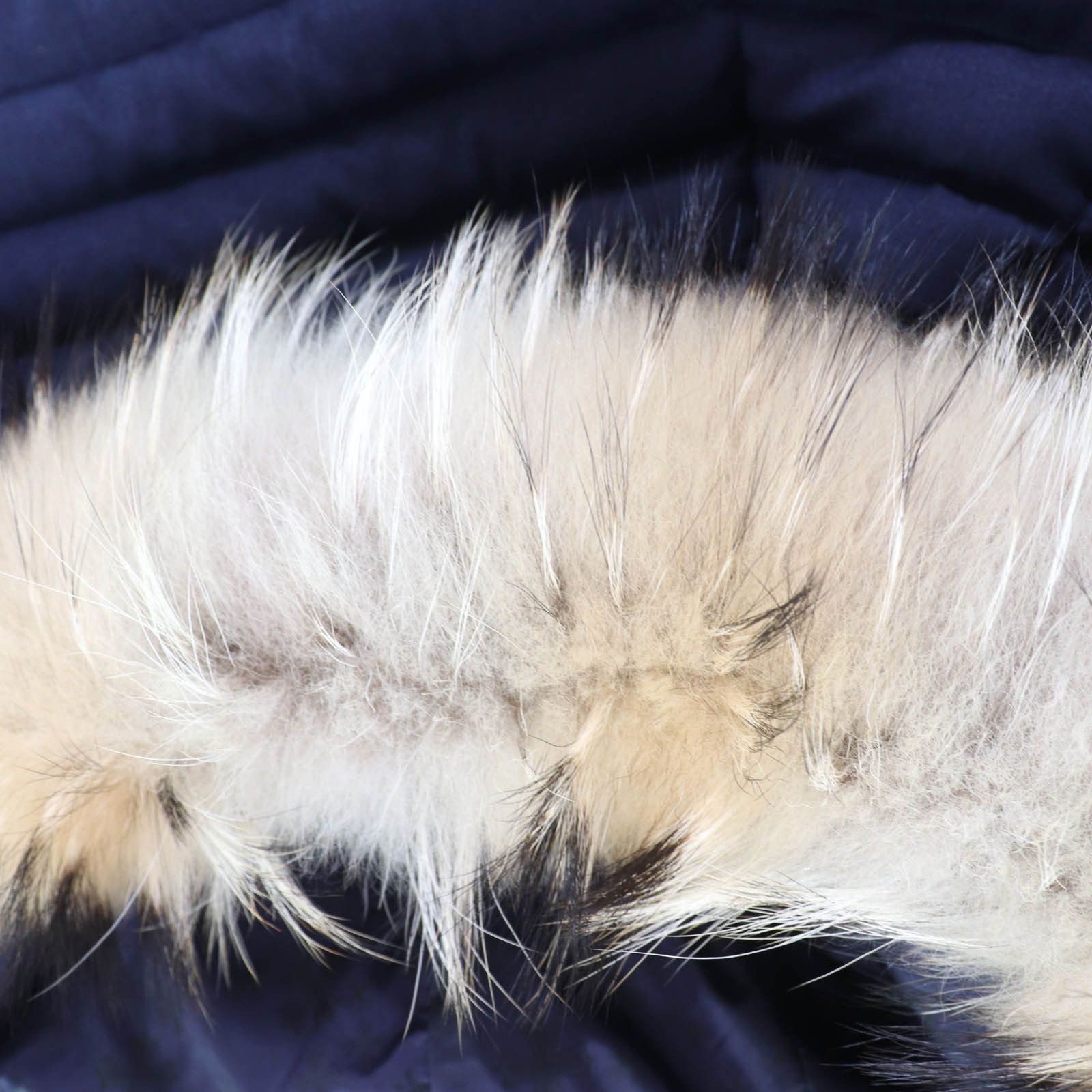 Other Other TATRAS CIMA Raccoon fur Down Coat Others Outerwear LTA20A4581 DUTY FREE for USA Size ONE SIZE - 6 Thumbnail