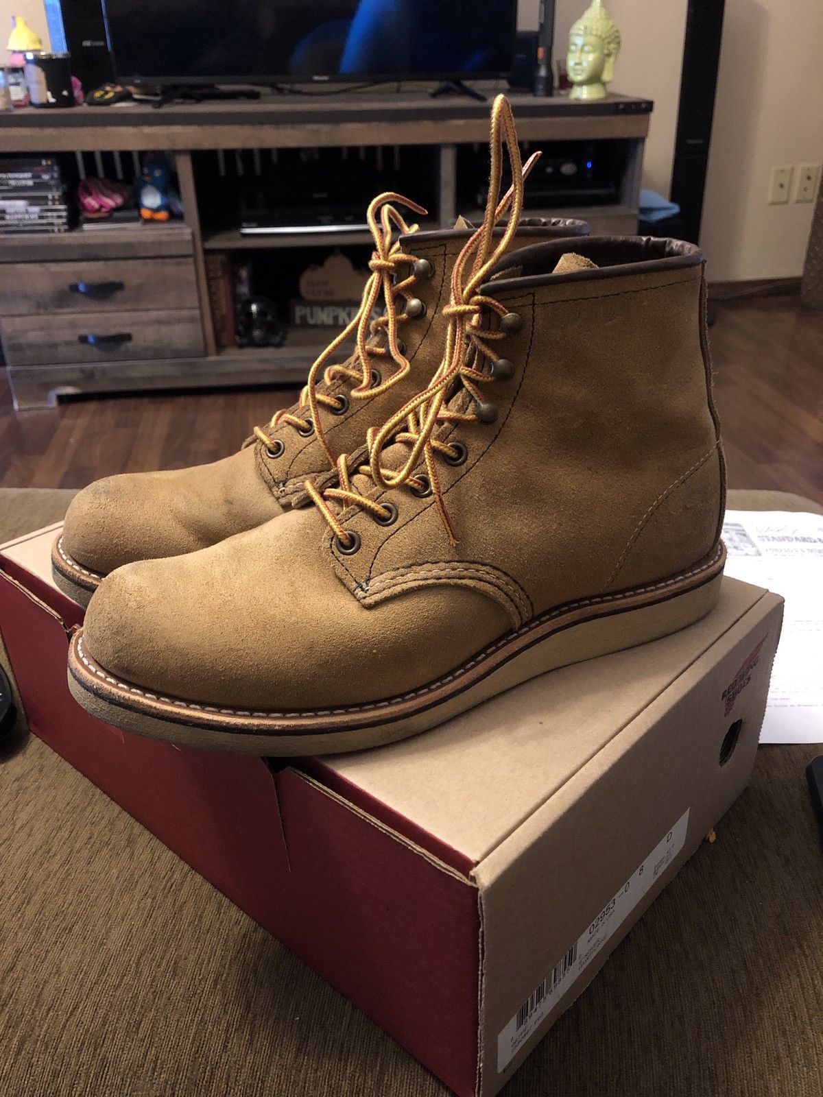 2953 Rover Hawthorne Roughout