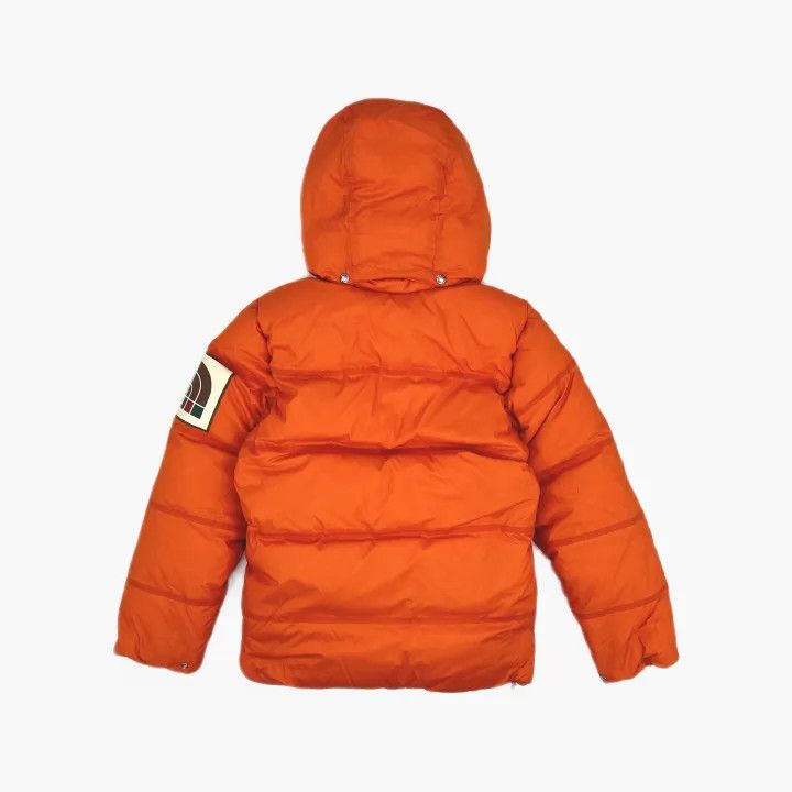 Gucci Gucci x The North Face Hooded Puffer Jacket Size XS / US 0-2 / IT 36-38 - 3 Thumbnail
