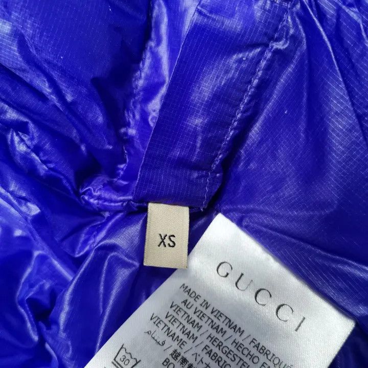 Gucci Gucci x The North Face Hooded Puffer Jacket Size XS / US 0-2 / IT 36-38 - 9 Thumbnail