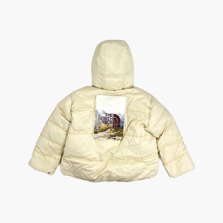 Gucci Gucci x The North Face Winter Jacket Size M / US 6-8 / IT 42-44 - 3 Thumbnail