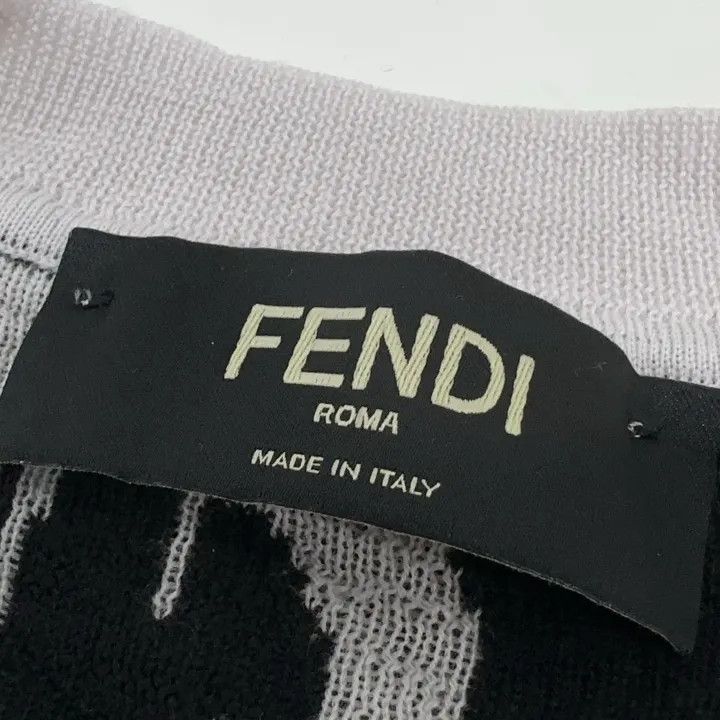Fendi Fendi SS22 Printed Long Sleeve Knit Sweater 0079 Size US M / EU 48-50 / 2 - 4 Thumbnail