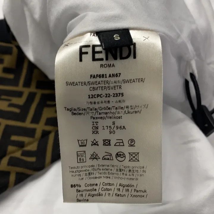 Fendi Fendi SS23 Logo Color Block Hoodie 0079 Size US S / EU 44-46 / 1 - 6 Thumbnail