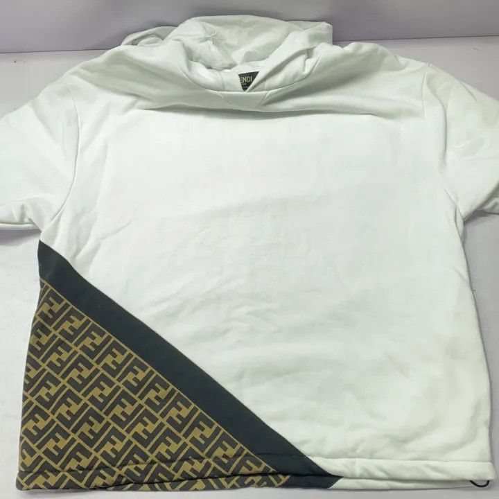 Fendi Fendi SS23 Logo Color Block Hoodie 0079 Size US S / EU 44-46 / 1 - 12 Thumbnail