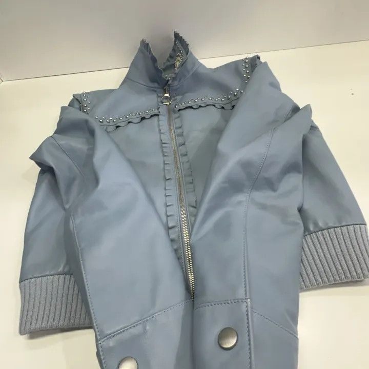 Miu Miu Miu Miu Studded Denim Jacket in Light Blue 0079 Size L / US 10 / IT 46 - 10 Thumbnail