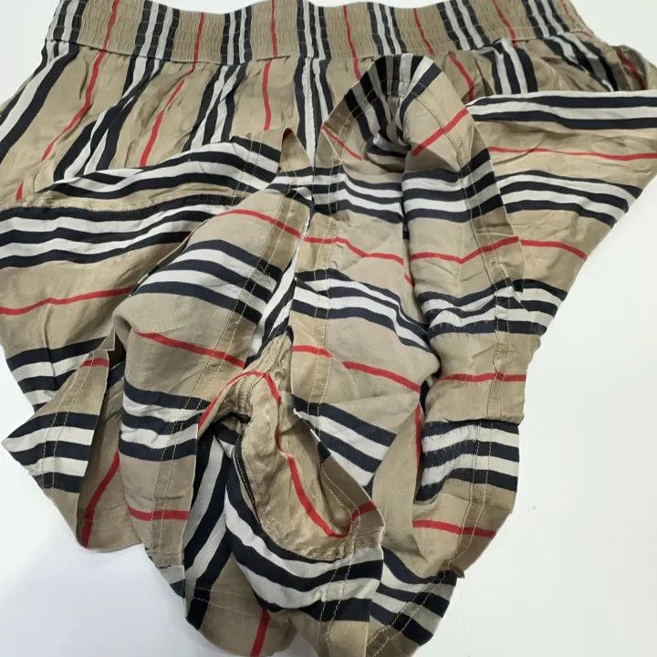 Burberry Burberry Iconic Striped Silk Loose Shorts 0079 Size 30" / US 8 / IT 44 - 8 Thumbnail