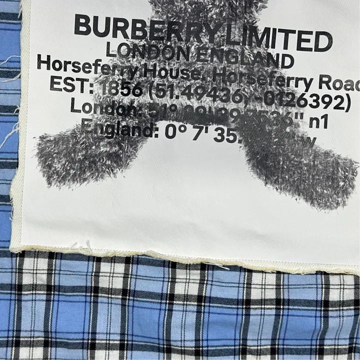 Burberry Burberry Loose Long Sleeve Plaid Shirt for Women 0079 Size M / US 6-8 / IT 42-44 - 4 Thumbnail