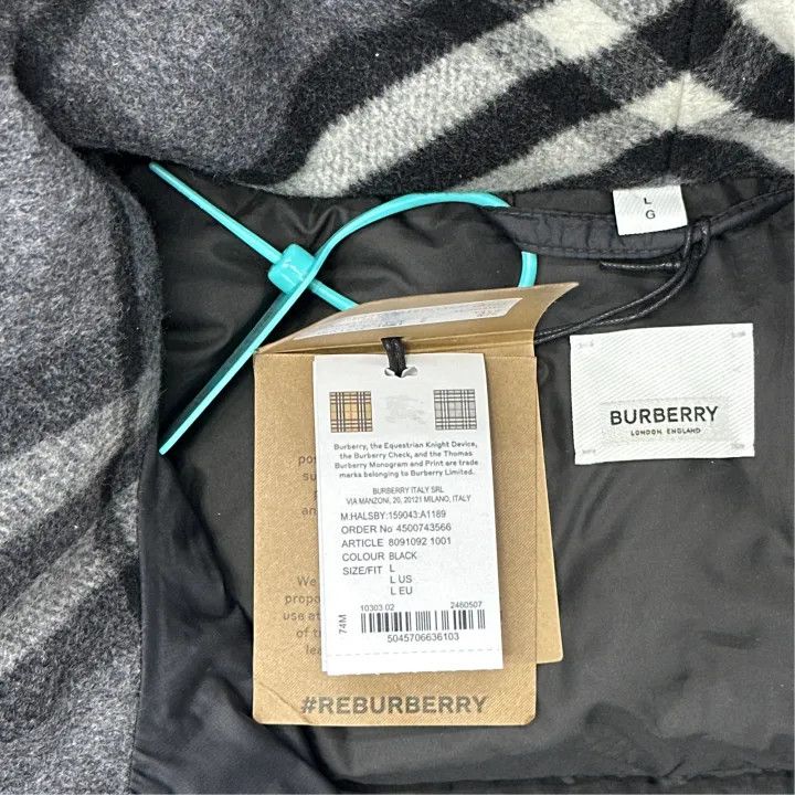 Burberry Burberry Black Hooded Down Jacket for All 0079 Size L / US 10 / IT 46 - 2 Thumbnail