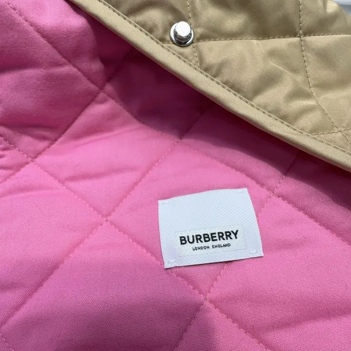 Burberry Burberry Color Single-breasted Long Sleeve Jacket 0079 Size M / US 6-8 / IT 42-44 - 4 Thumbnail