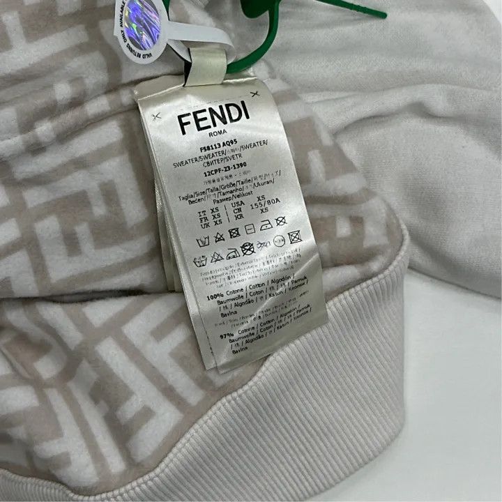 Fendi Fendi SS23 Logo Print Hooded Sweatshirt 0079 Size XS / US 0-2 / IT 36-38 - 4 Thumbnail