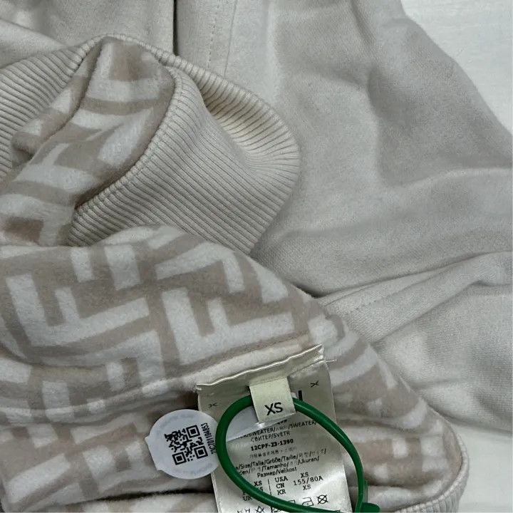 Fendi Fendi SS23 Logo Print Hooded Sweatshirt 0079 Size XS / US 0-2 / IT 36-38 - 3 Thumbnail