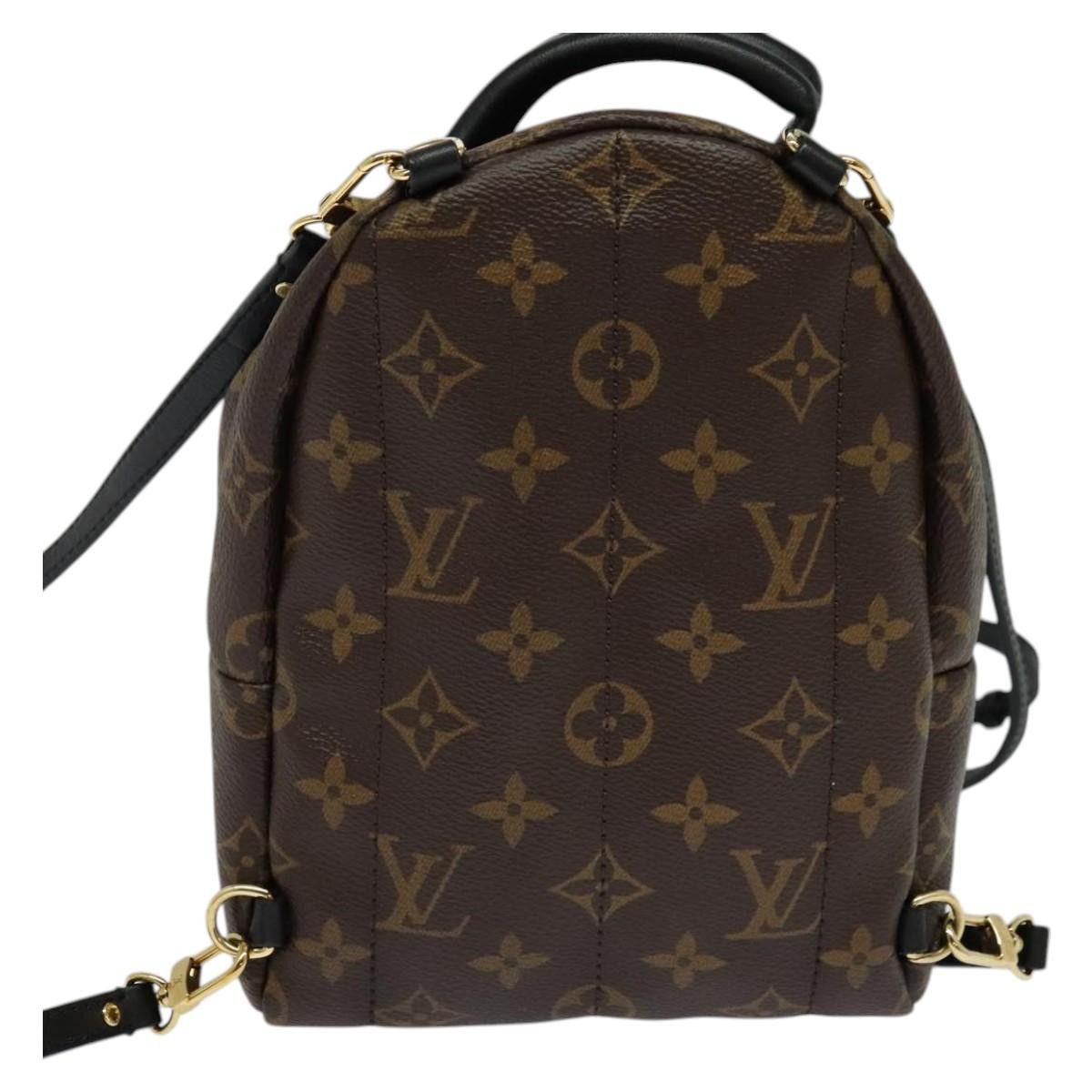 Louis Vuitton Louis Vuitton Palm Springs mini backpack Size ONE SIZE - 2 Thumbnail