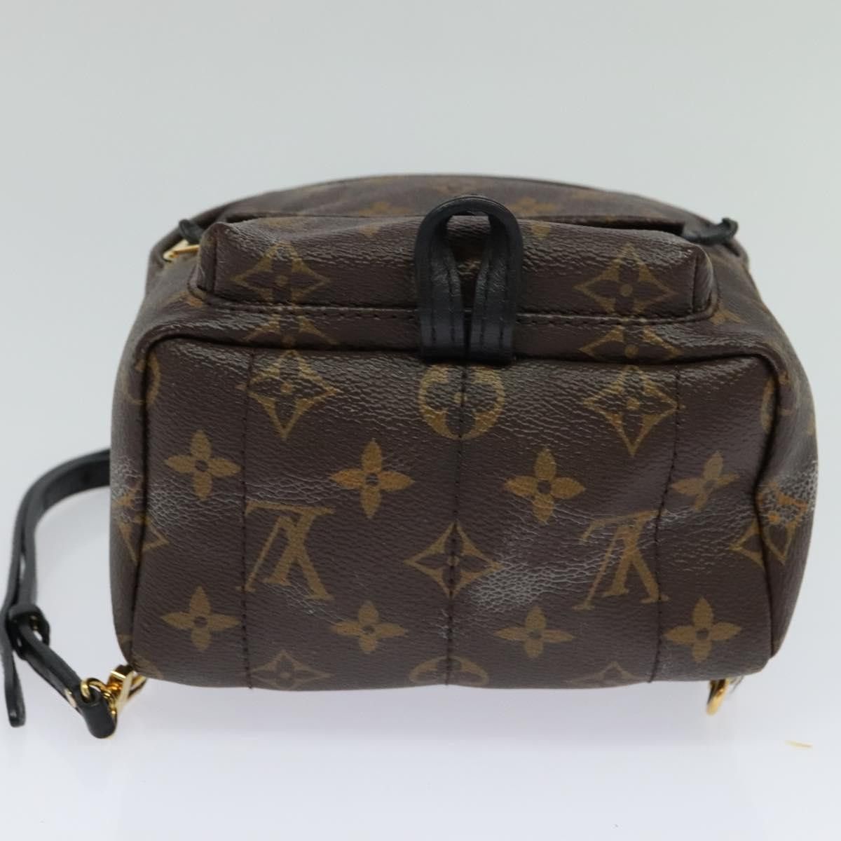 Louis Vuitton Louis Vuitton Palm Springs mini backpack Size ONE SIZE - 19 Thumbnail