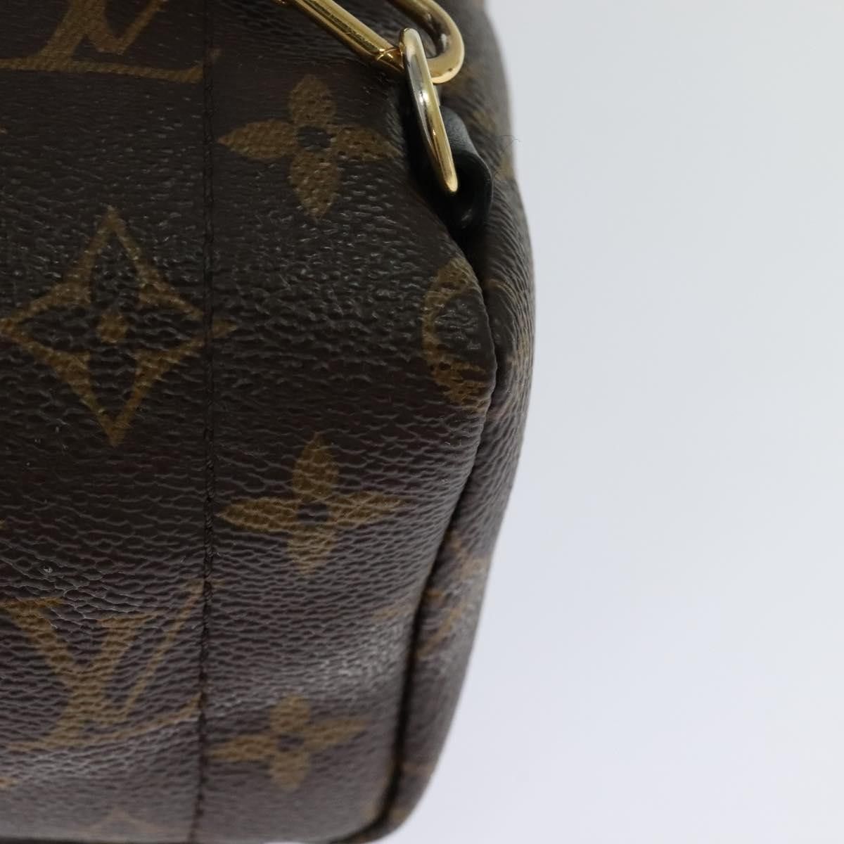 Louis Vuitton Louis Vuitton Palm Springs mini backpack Size ONE SIZE - 10 Thumbnail