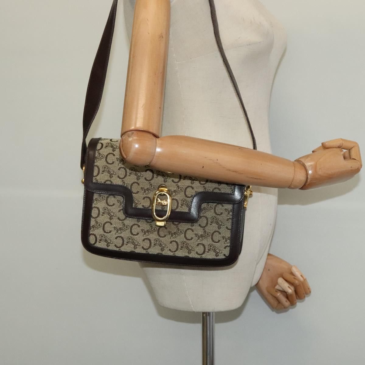 Celine Céline Triomphe shoulder Size ONE SIZE - 13 Thumbnail