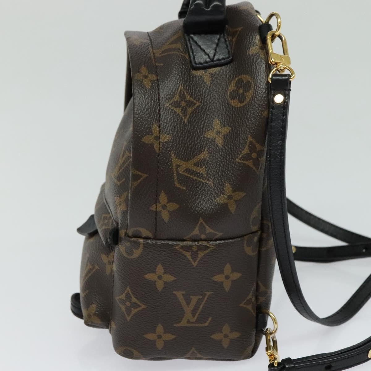 Louis Vuitton Louis Vuitton Palm Springs mini backpack Size ONE SIZE - 3 Thumbnail