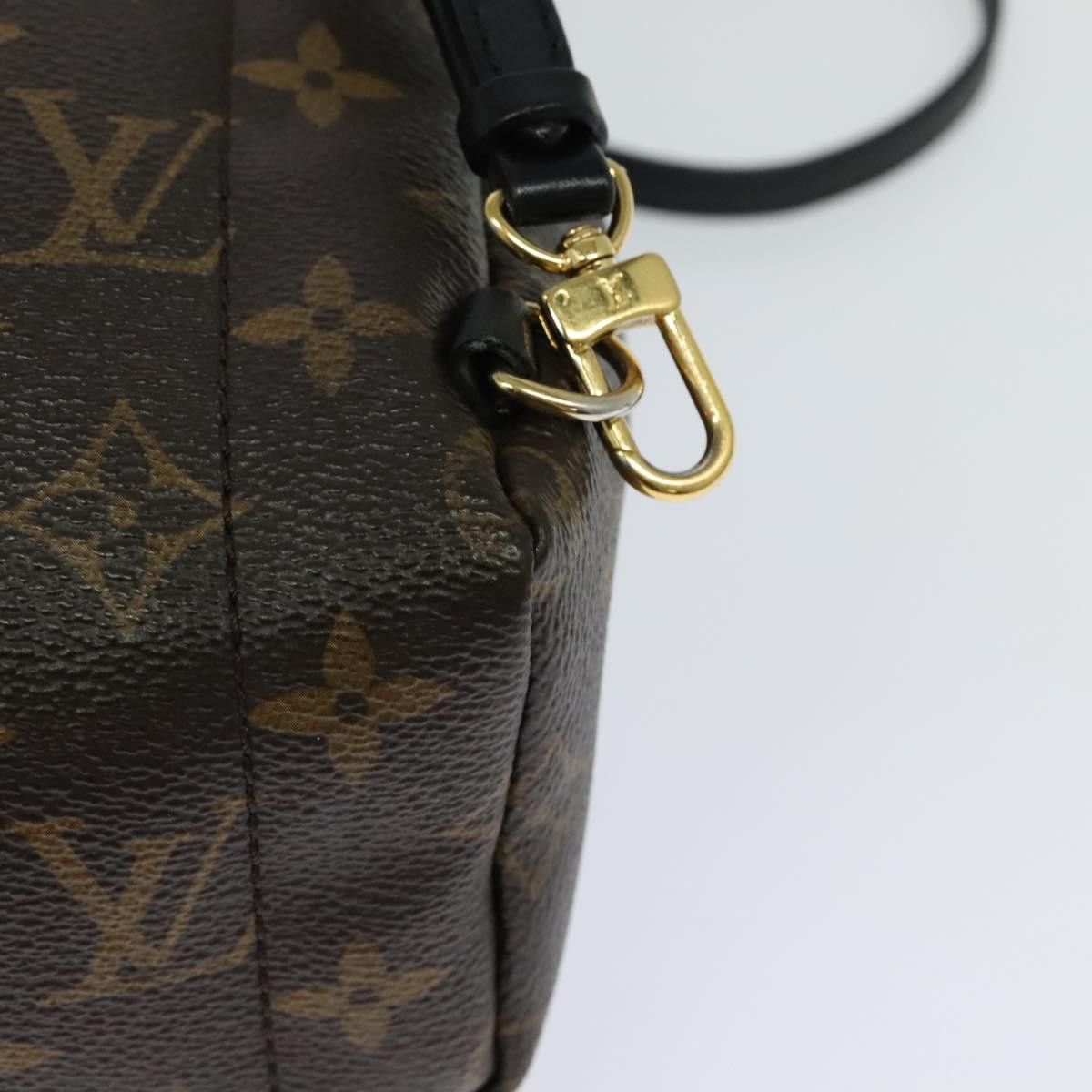 Louis Vuitton Louis Vuitton Palm Springs mini backpack Size ONE SIZE - 14 Thumbnail
