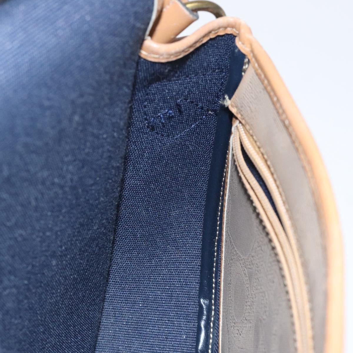 Dior Dior Trotter shoulder Size ONE SIZE - 19 Thumbnail